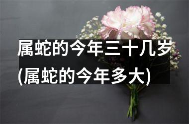 属蛇的今年三十几岁(属蛇的今年多大)