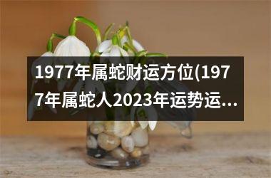 <h3>1977年属蛇财运方位(1977年属蛇人2025年运势运程每月运程)