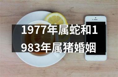 1977年属蛇和1983年属猪婚姻