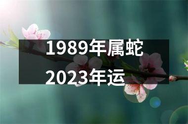<h3>1989年属蛇2025年运
