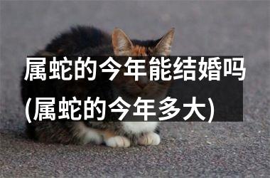 <h3>属蛇的今年能结婚吗(属蛇的今年多大)