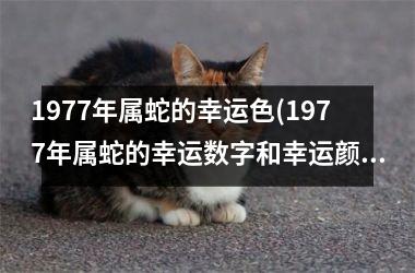 1977年属蛇的幸运色(1977年属蛇的幸运数字和幸运颜色)