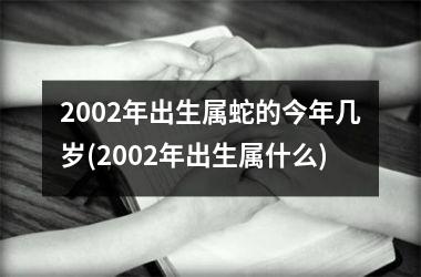 2002年出生属蛇的今年几岁(2002年出生属什么)