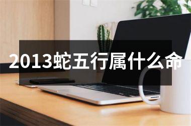 2013蛇五行属什么命