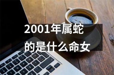 2001年属蛇的是什么命女