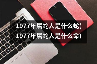 1977年属蛇人是什么蛇(1977年属蛇人是什么命)