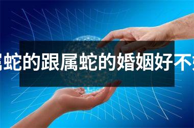 属蛇的跟属蛇的婚姻好不好