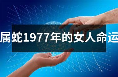 <h3>属蛇1977年的女人命运