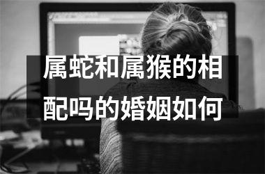 属蛇和属猴的相配吗的婚姻如何