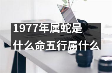 <h3>1977年属蛇是什么命五行属什么