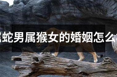 属蛇男属猴女的婚姻怎么样
