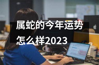 属蛇的今年运势怎么样2025