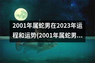 2001年属蛇男在2025年运程和运势(2001年属蛇男在2025年学业)