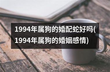 <h3>1994年属狗的婚配蛇好吗(1994年属狗的婚姻感情)