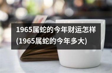 1965属蛇的今年财运怎样(1965属蛇的今年多大)