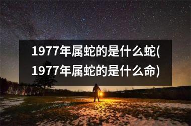 <h3>1977年属蛇的是什么蛇(1977年属蛇的是什么命)