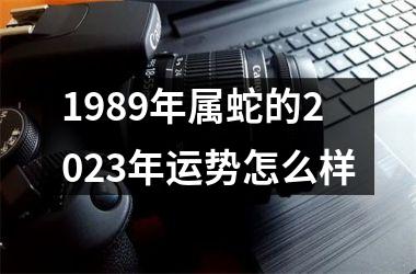 1989年属蛇的2025年运势怎么样