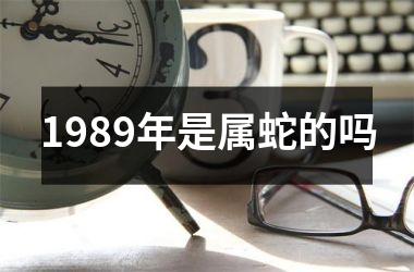 1989年是属蛇的吗