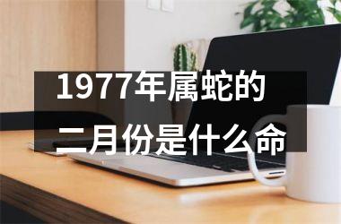1977年属蛇的二月份是什么命