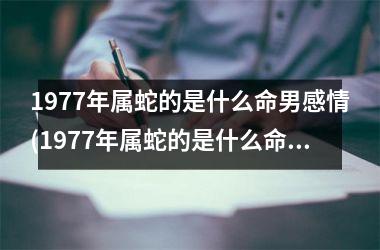 1977年属蛇的是什么命男感情(1977年属蛇的是什么命五行缺什么)