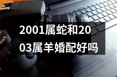 2001属蛇和2003属羊婚配好吗