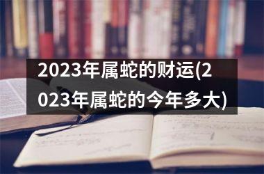 2023年属蛇的财运(2023年属蛇的今年多大)