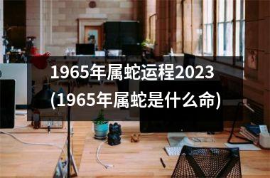 1965年属蛇运程2025(1965年属蛇是什么命)