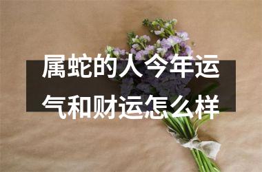 属蛇的人今年运气和财运怎么样