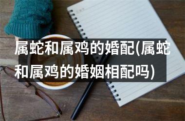 属蛇和属鸡的婚配(属蛇和属鸡的婚姻相配吗)