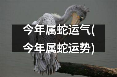 今年属蛇运气(今年属蛇运势)