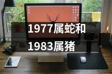 1977属蛇和1983属猪