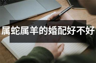 属蛇属羊的婚配好不好
