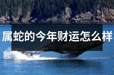 属蛇的今年财运怎么样