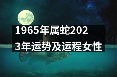 <h3>1965年属蛇2025年运势及运程女性