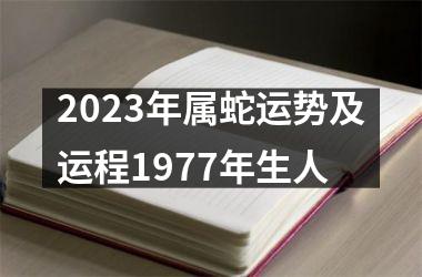 2025年属蛇运势及运程1977年生人