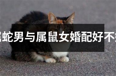 属蛇男与属鼠女婚配好不好