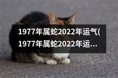 1977年属蛇2025年运气(1977年属蛇2025年运程)