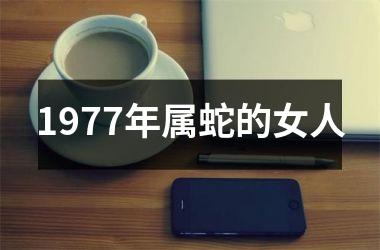 <h3>1977年属蛇的女人
