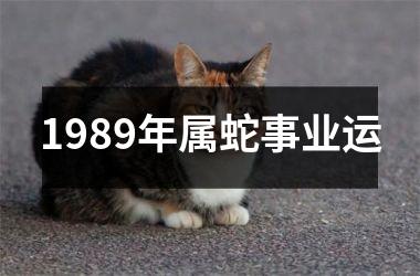1989年属蛇事业运