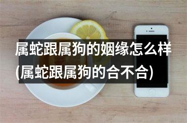 属蛇跟属狗的姻缘怎么样(属蛇跟属狗的合不合)