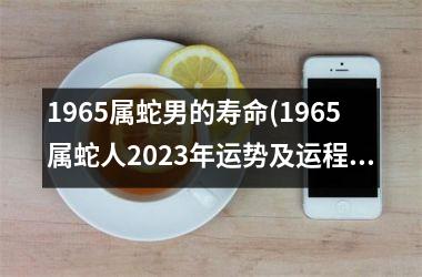 <h3>1965属蛇男的寿命(1965属蛇人2025年运势及运程)