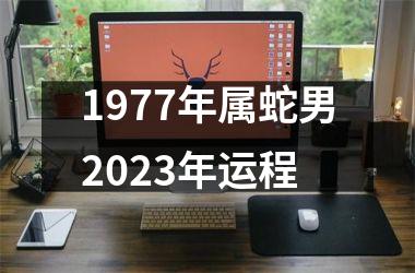 <h3>1977年属蛇男2025年运程