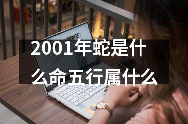 <h3>2001年蛇是什么命五行属什么
