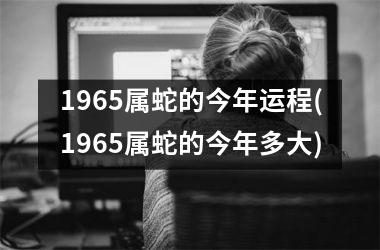 1965属蛇的今年运程(1965属蛇的今年多大)
