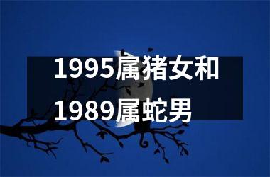 <h3>1995属猪女和1989属蛇男