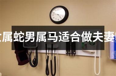 女属蛇男属马适合做夫妻吗