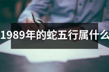 1989年的蛇五行属什么