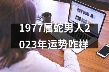 1977属蛇男人2025年运势咋样