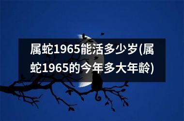 属蛇1965能活多少岁(属蛇1965的今年多大年龄)