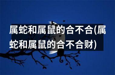 属蛇和属鼠的合不合(属蛇和属鼠的合不合财)